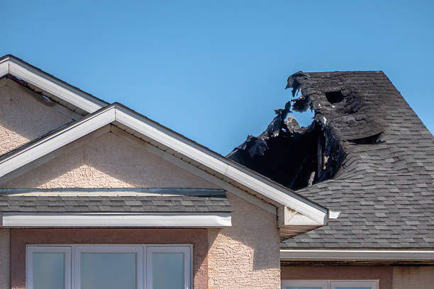 Top rated local Firefighting Water Removal specialists in Cortez, FL